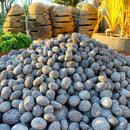 Lava Pebble (2 to 3" size per piece) - Fresh N Marine