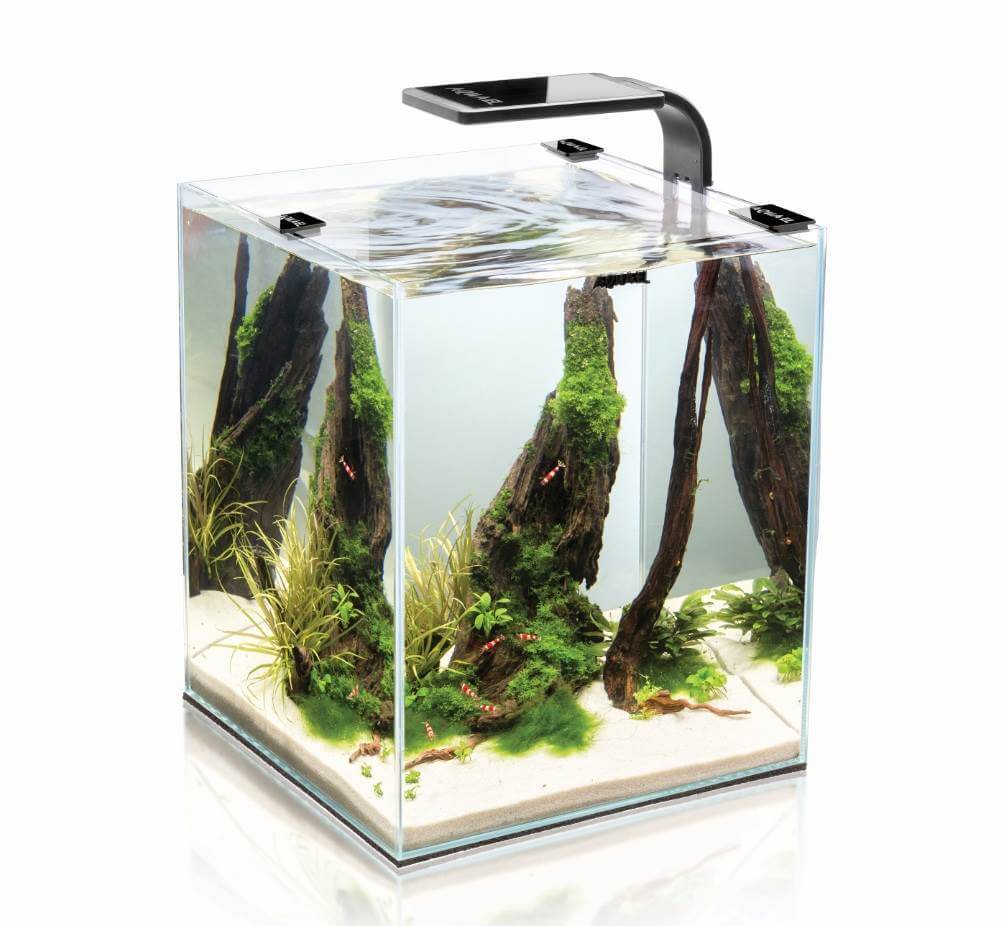 Aquarium shrimp set smart led D/N 10/10L Black, 20x20x25 cm