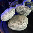 Angel Premium Stone (per kg) - Fresh N Marine