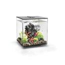 OASE biOrb Cube 30 MCR LED - Fresh N Marine