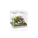 OASE biOrb Cube 30 MCR LED - Fresh N Marine