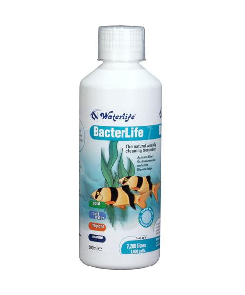 Waterlife BacterLife 250mL - Fresh N Marine