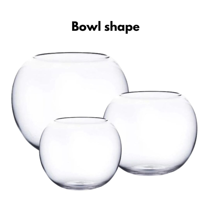 OWA High Clarity Glass Bowl - Fresh N Marine