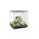 OASE biOrb Cube 60 MCR LED - Fresh N Marine