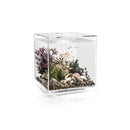 OASE biOrb Cube 60 MCR LED - Fresh N Marine