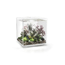 OASE biOrb Cube 60 MCR LED - Fresh N Marine
