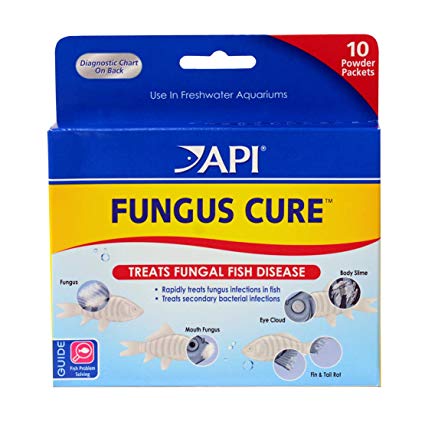 API Fungus Cure Powder 10 Packets - Fresh N Marine