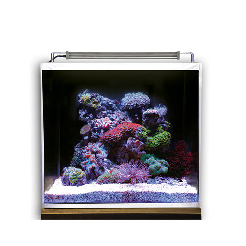 Dupla Ocean Cube Set 50 - Fresh N Marine