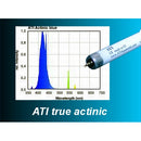 ATI True Actinic T5 HO - Fresh N Marine