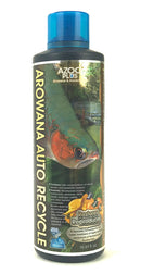 Azoo Arowana Auto Recycle - Fresh N Marine