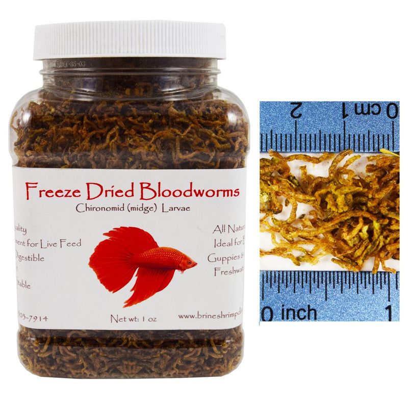 BSD Freeze Dried Bloodworm 1oz - Fresh N Marine
