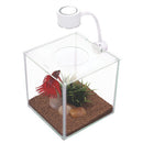Marina CUBUS Glass Betta Kit - Fresh N Marine