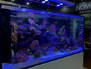 Red Sea REEFER Peninsula System (With Deluxe Option!) - Fresh N Marine