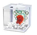 Marina Betta EZ Care Aquarium - White - 2.5 L (0.7 US Gal) - Fresh N Marine