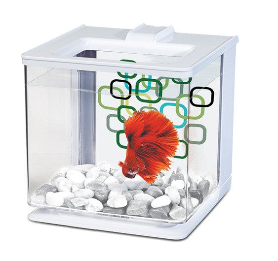 Marina Betta EZ Care Aquarium - White - 2.5 L (0.7 US Gal) - Fresh N Marine