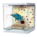 Marina Betta Kit - Fireworks - Fresh N Marine