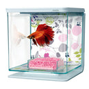 Marina Betta Kit - Floral - Fresh N Marine