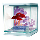 Marina Betta Kit - Flower - Fresh N Marine