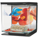 Marina Betta Kit - Sun Swirl - Fresh N Marine