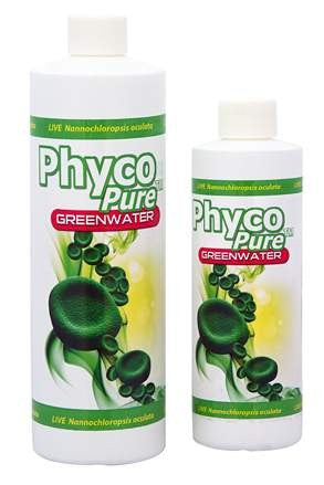 PhycoPure™ Greenwater 8oz - Fresh N Marine