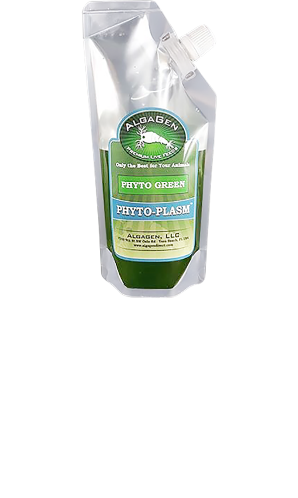 Phyto-Plasm™ Phyto Green - Fresh N Marine