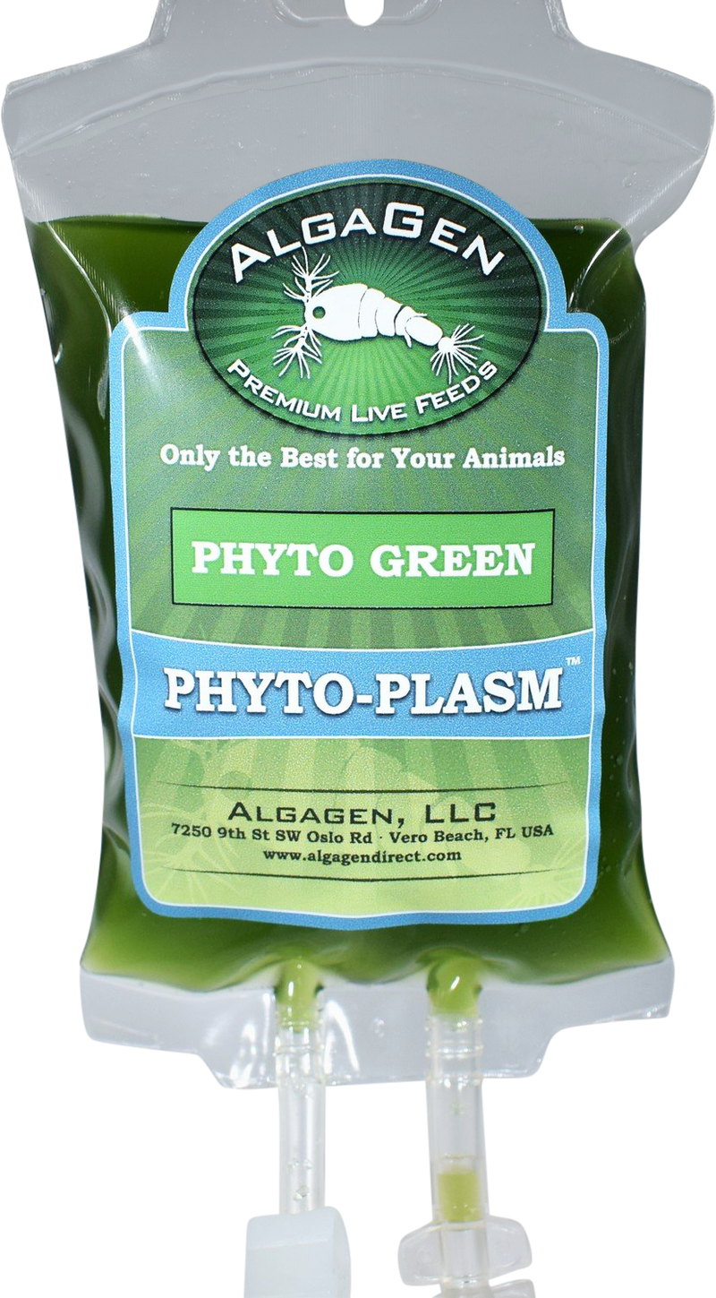 Phyto-Plasm™ Phyto Green - Fresh N Marine