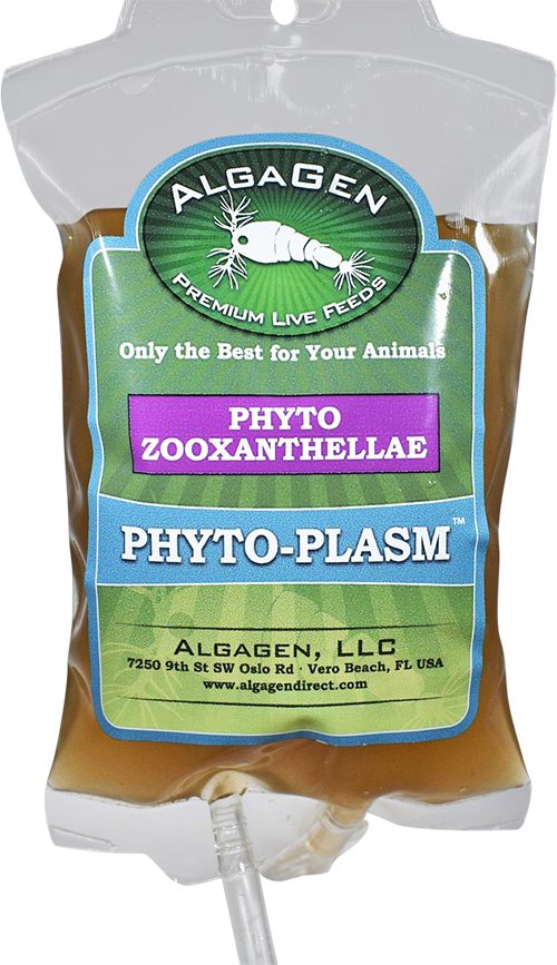 Phyto-Plasm™ Phyto Zooxanthellae - Fresh N Marine
