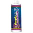CaribSea Purple Up Coralline Algae Accelerator - Fresh N Marine