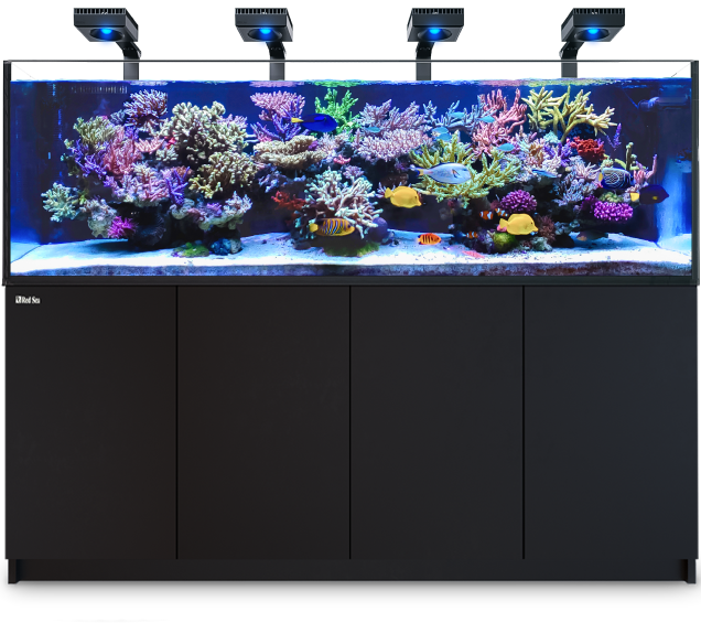 Red Sea Reefer G2 900 Deluxe 240 Gallon - Fresh N Marine