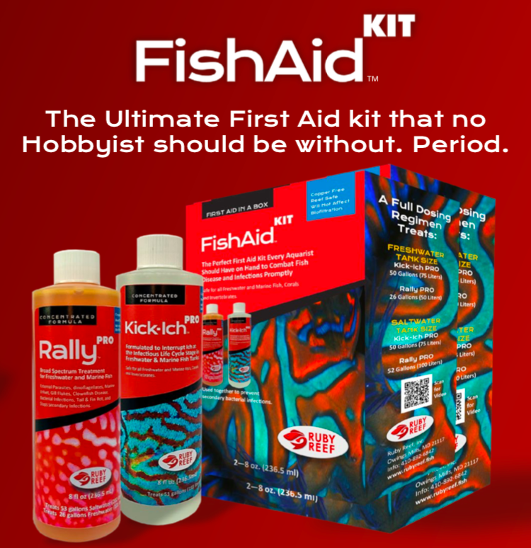 Ruby Reef FishAid Kit - Fresh N Marine