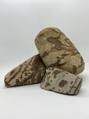 Swan Rock (Per kg) - Fresh N Marine