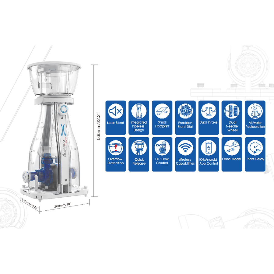 Untitled_900x.png?v=1725688308