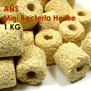 ANS Mini Bacteria House - Fresh N Marine
