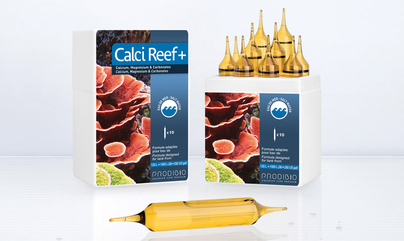Prodibio Calci Reef+ 10 vials - Fresh N Marine