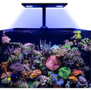 HME Core XP LED (Marine) with Mounting Arm - Fresh N Marine