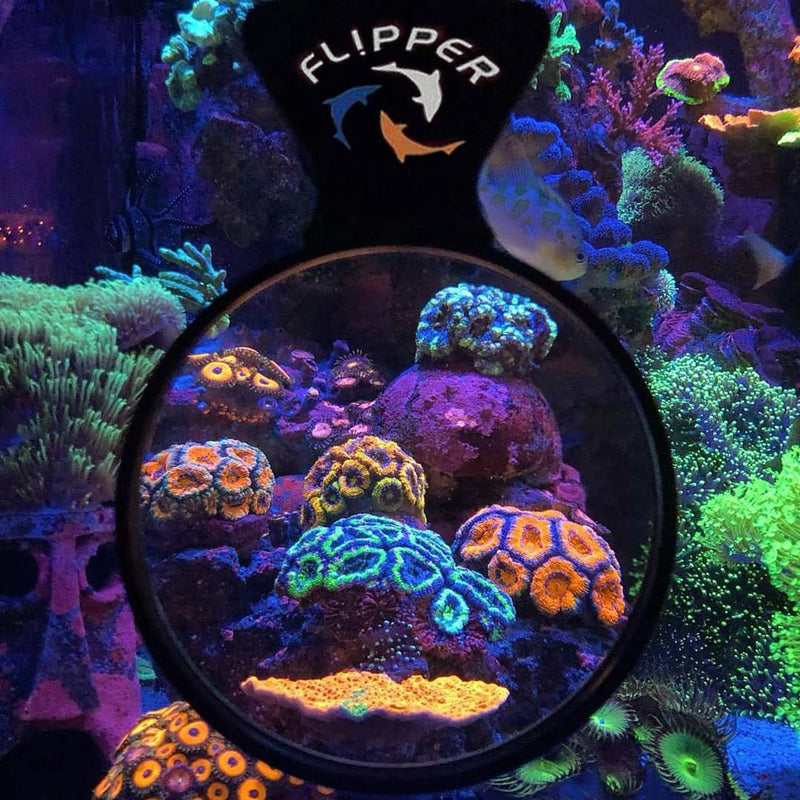 Flipper DeepSee Magnified Magnetic Aquarium Viewer 4" - Fresh N Marine