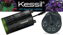 Kessil A160WE Controllable LED - Tuna Sun - Fresh N Marine