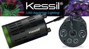 Kessil A160WE Controllable LED - Tuna Sun - Fresh N Marine
