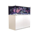 Red Sea REEFER G2 350 System 73 Gallon - Fresh N Marine
