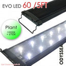 ODYSSEA EVO Led 60" 132W (PLANT) - Fresh N Marine