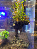 Scaped Resin - Fresh N Marine