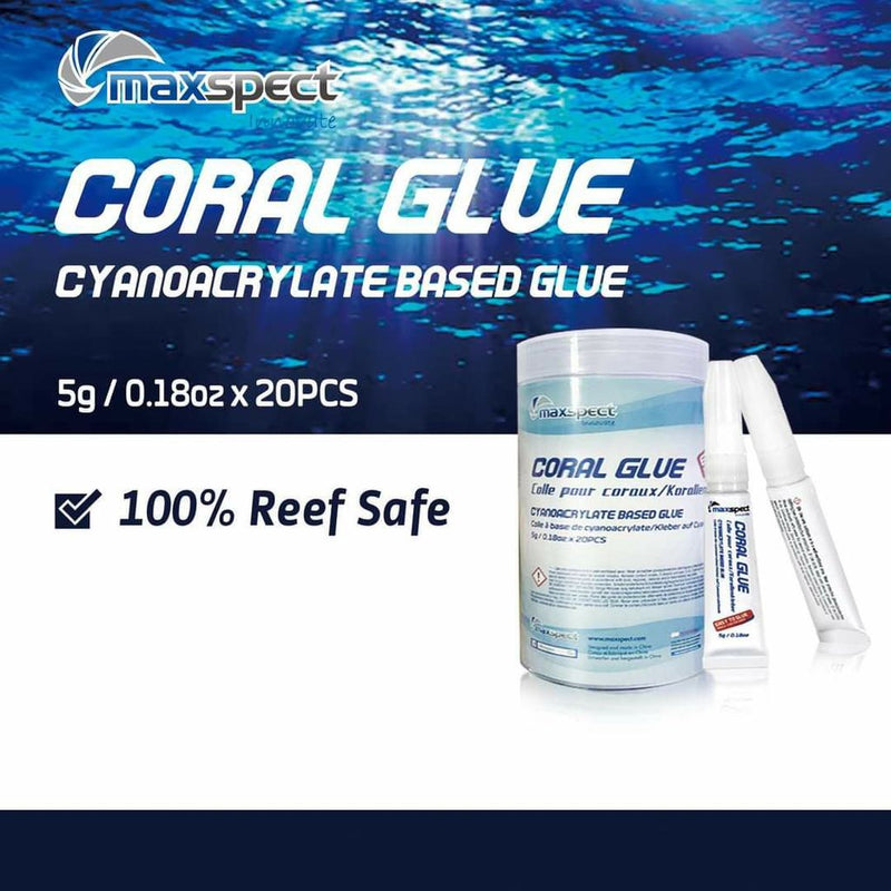 Maxspext Coral Glue 1box (20 pcs) - Fresh N Marine