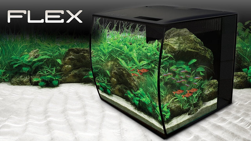 Fluval FLEX Aquarium Kit - 34 L (9 US gal) - Fresh N Marine