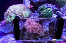 Maxspect Fragnifier - Fresh N Marine