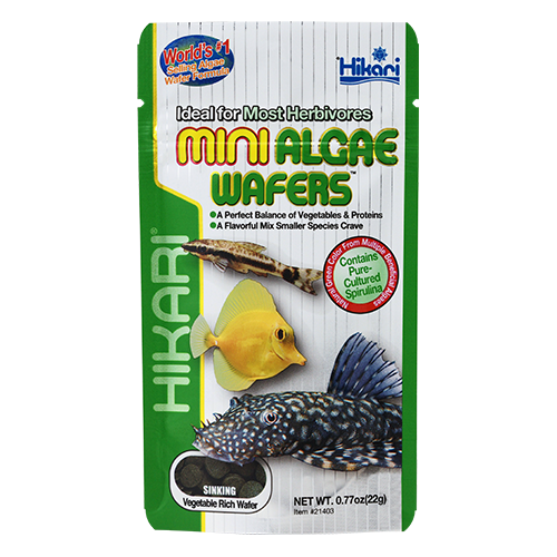 Hikari Mini Algae Wafers 22g - Fresh N Marine