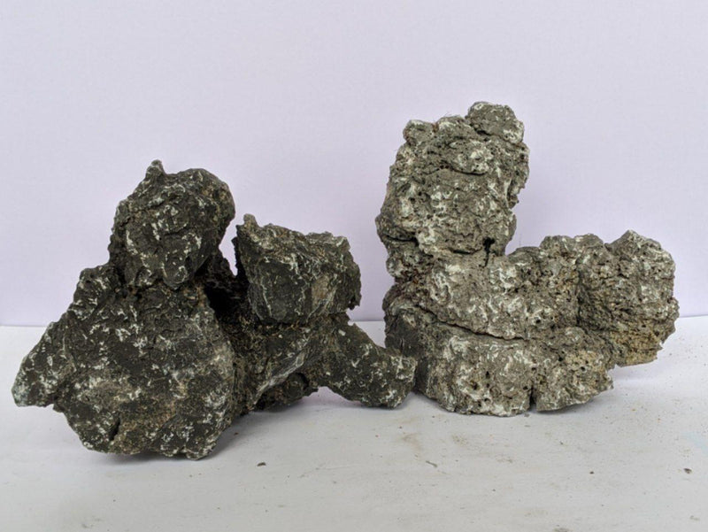 Formicary Rock (per kg) - Fresh N Marine