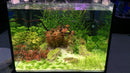 AquaZonic Spectra Planted LED - Fresh N Marine