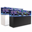 Red Sea REEFER G2 900 System 240 Gallon - Fresh N Marine