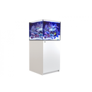 Red Sea REEFER G2 200 System 42 Gallon - Fresh N Marine