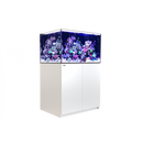 Red Sea REEFER G2 300 System 65 Gallon - Fresh N Marine